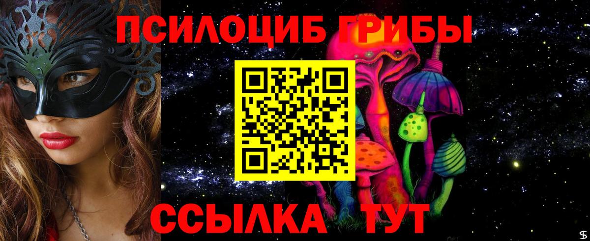 Псилоцибиновые грибы GOLDEN TEACHER Красный Сулин