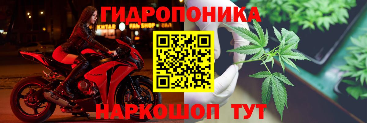 Бошки марихуана гибрид Красный Сулин